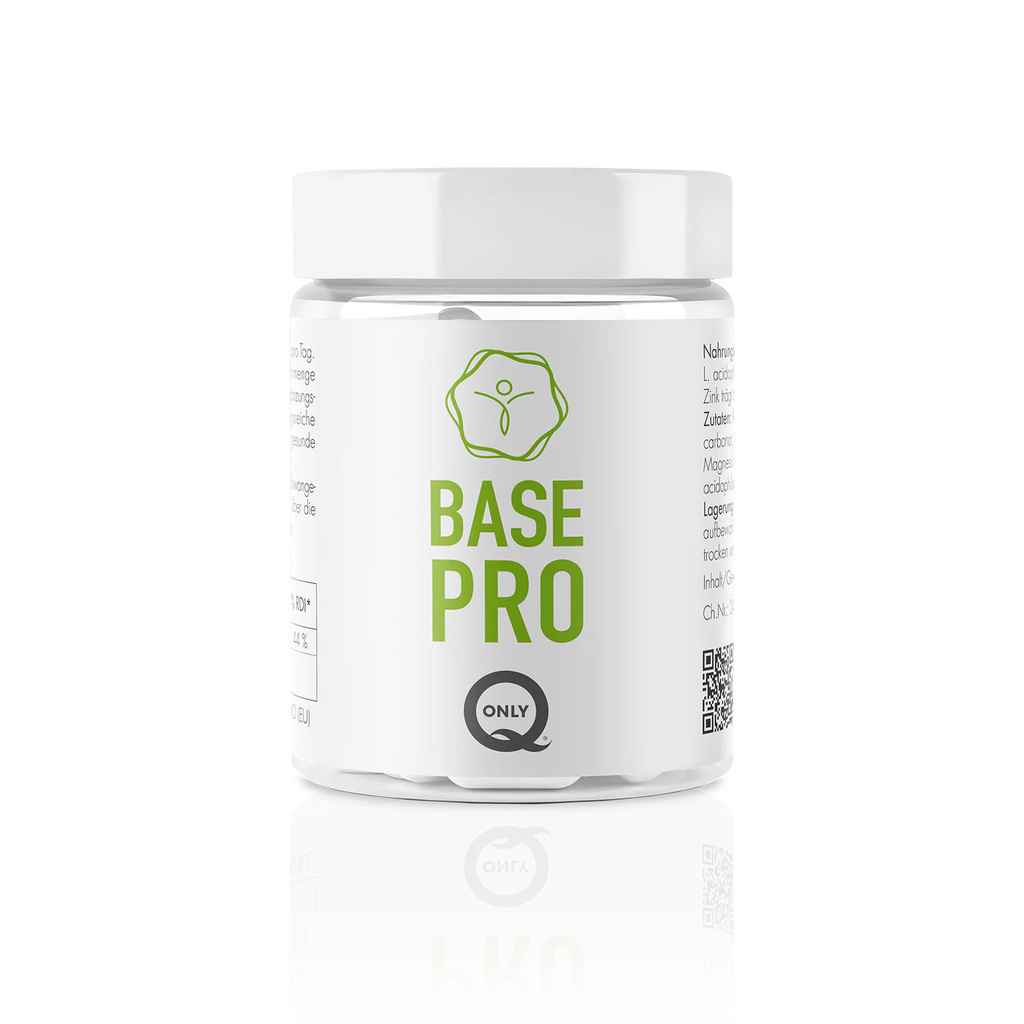 Base Pro